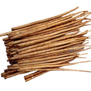 Poudre de bardane