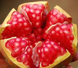 Poudre de Fruit Grenade bio, prestations de Grenade, Grenade santé prestations