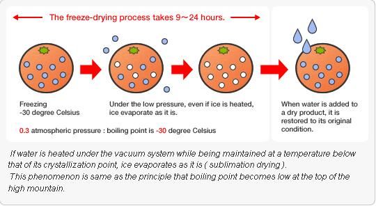 freeze dried method