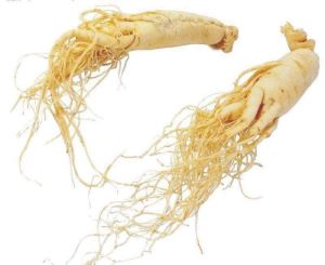 Extrait de ginseng américain