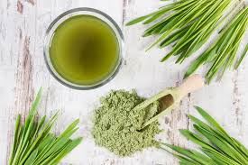 Poudre de jus d'herbe d'orge