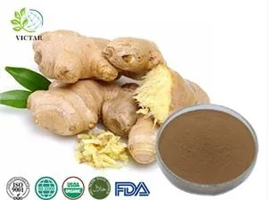 extrait de gingembre