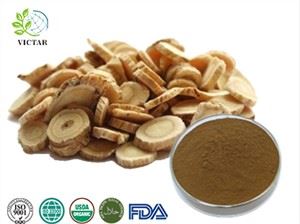 Extrait de racine d'astragale biologique