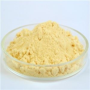 Poudre de phosphatidylsérine