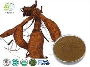 poudre d'extrait de pueraria