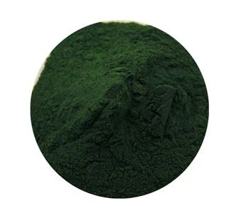 Poudre de spiruline