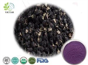 Black Wolfberry Powder, goji Berry, goji Berry Benefits, baies de Goji séchées, jus de Wolfberry, baies de Goji biologiques crues