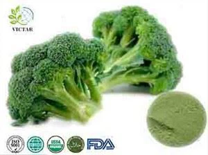 Brocoli en poudre