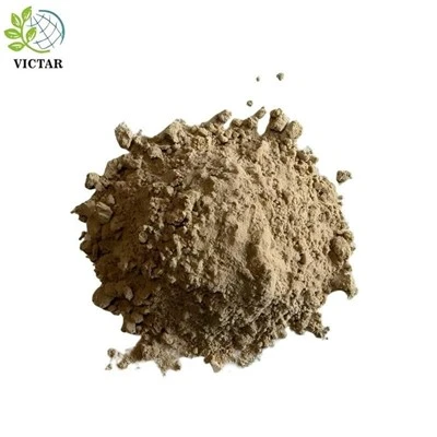 Malt en poudre