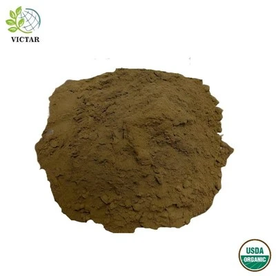 Poudre de feuilles de Ginkgo Biloba biologique